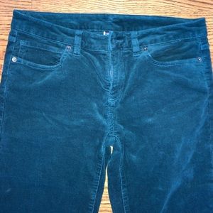 Teal Patagonia Cords